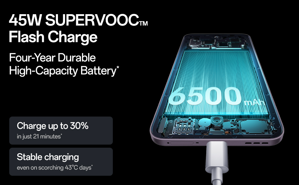 Fast Charging